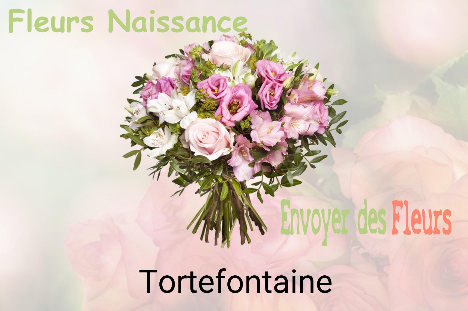 Bouquet de fleurs de naissance livré à Tortefontaine